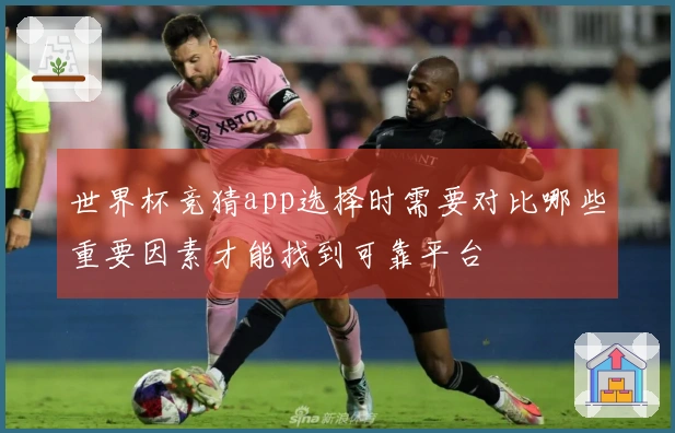 世界杯竞猜app选择时需要对比哪些重要因素才能找到可靠平台