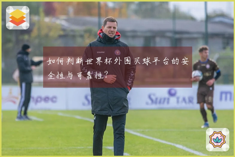 如何判断世界杯外围买球平台的安全性与可靠性？